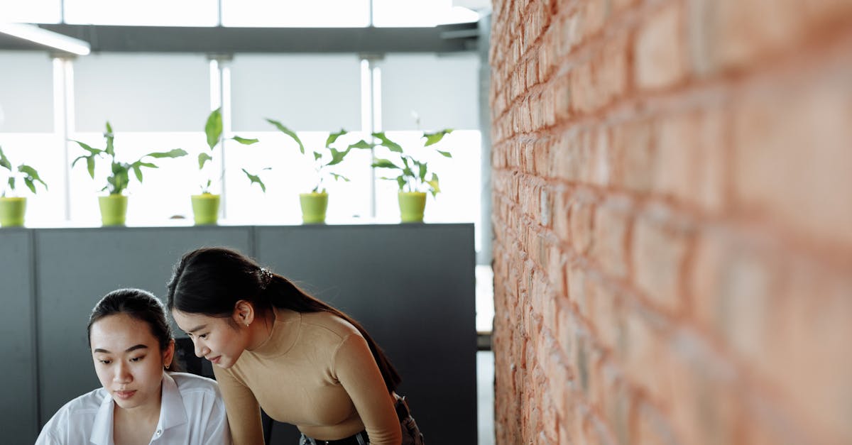 雾森：刚怀孕详情下载教程什么app